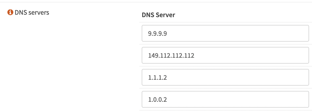 Router DNS servers